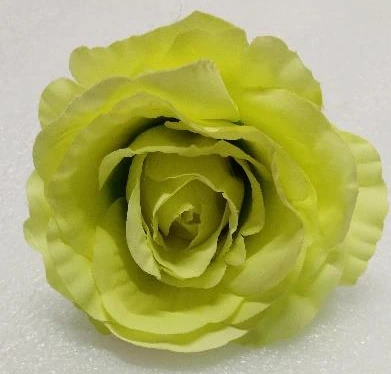 Big Rose Loose